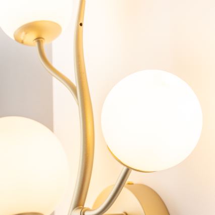 Brilagi - Φωτιστικό τοίχου LED MISTEL 3xG9/3W/230V χρυσό/λευκό