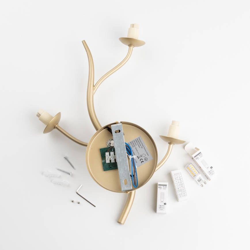 Brilagi - Φωτιστικό τοίχου LED MISTEL 3xG9/3W/230V χρυσό/λευκό