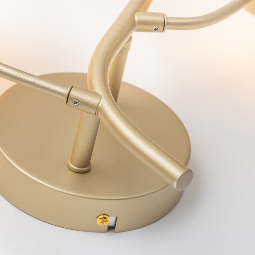 Brilagi - Φωτιστικό τοίχου LED MISTEL 3xG9/3W/230V χρυσό