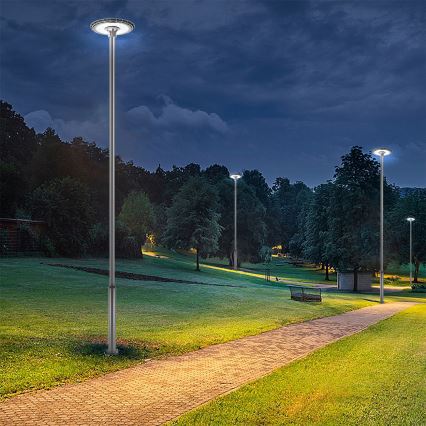Brilagi - LED φωτιστικό δρόμου με στύλο 5 m URBANSPARK LED/120W/230V ανθρακί IP65