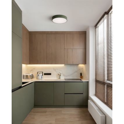 Brilagi - Φωτιστικό οροφής CLARE 2xE27/24W/230V Ø 30 cm χακί