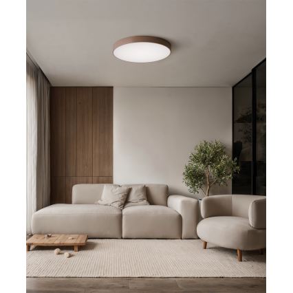Brilagi - Φωτιστικό οροφής CLARE 4xE27/40W/230V διάμ. 50 cm καφέ
