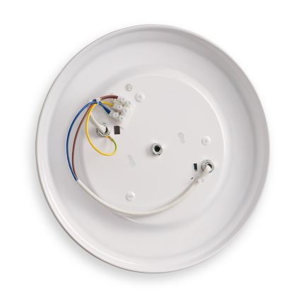 Brilagi - Φωτιστικό οροφής FRESCO 2xE27/40W/230V Ø 30 cm χρυσό
