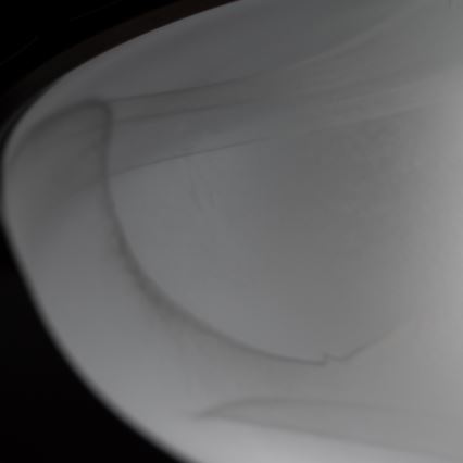 Brilagi - Φωτιστικό οροφής FRESCO 2xE27/40W/230V διάμ. 30 εκ. χάλκινο