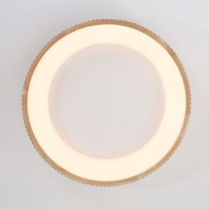 Brilagi - LED Φωτιστικό οροφής FALCON WOOD MODERN LED/40W/230V 3000/4000/6000K διάμετρος 60 cm ξύλινο