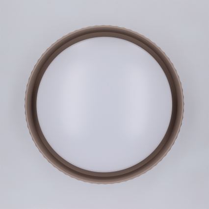 Brilagi - Φωτιστικό οροφής LED LUCIA LED/24W/230V, διάμ. 31 cm, καφέ