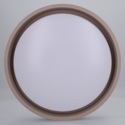 Brilagi - Φωτιστικό οροφής LED MATTEO LED/24W/230V, διάμ. 31 cm, ταουπ