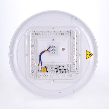 BRILAGI - Φωτιστικό οροφής LED PILANA LED/24W/230V δρυς/χρυσό διάμ. 30 εκ.