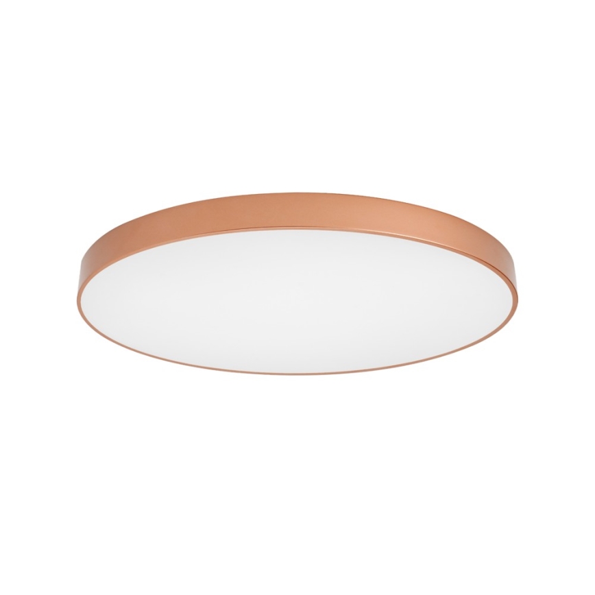 BRILAGI - Φωτιστικό οροφής LED POOL LED/128W/230V 3000/4000/6000K pr. 100 cm χάλκινο