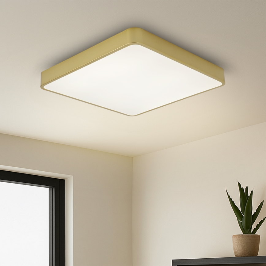 Brilagi - Φωτιστικό οροφής LED POOL LED/36W/230V 3000/4000/6000K 40x40 cm χρυσό