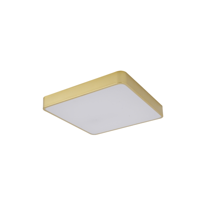 Brilagi - Φωτιστικό οροφής LED POOL LED/36W/230V 3000/4000/6000K 40x40 cm χρυσό