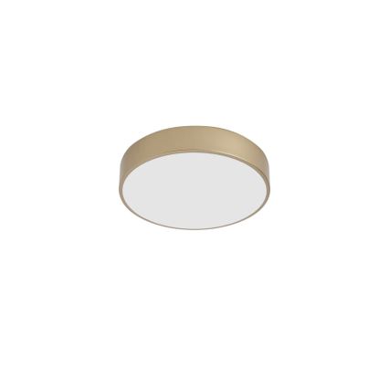 Brilagi - Φωτιστικό οροφής LED POOL LED/36W/230V 3000/4000/6000K Ø 30 cm χρυσό