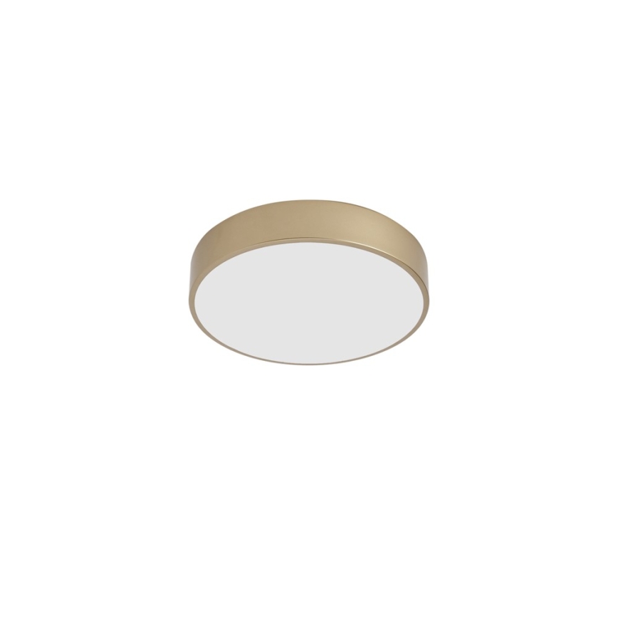 Brilagi - Φωτιστικό οροφής LED POOL LED/36W/230V 3000/4000/6000K Ø 30 cm χρυσό