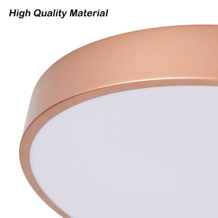 Brilagi - Φωτιστικό οροφής LED POOL LED/36W/230V 3000/4000/6000K διάμετρος 30 cm μπρονζέ