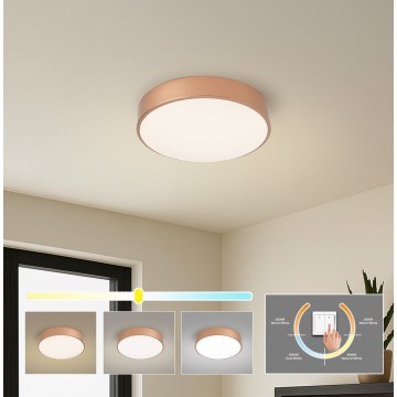 Brilagi - Φωτιστικό οροφής LED POOL LED/36W/230V 3000/4000/6000K διάμετρος 30 cm μπρονζέ