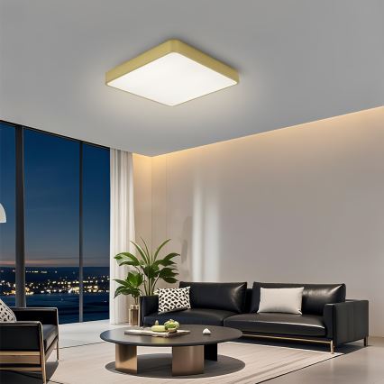 Brilagi - Φωτιστικό οροφής LED POOL LED/36W/230V 3000/4500/6000K 40x40 cm χρυσό