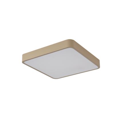 Brilagi - Φωτιστικό οροφής LED POOL LED/48W/230V 3000/4000/6000K 50x50 cm μπεζ