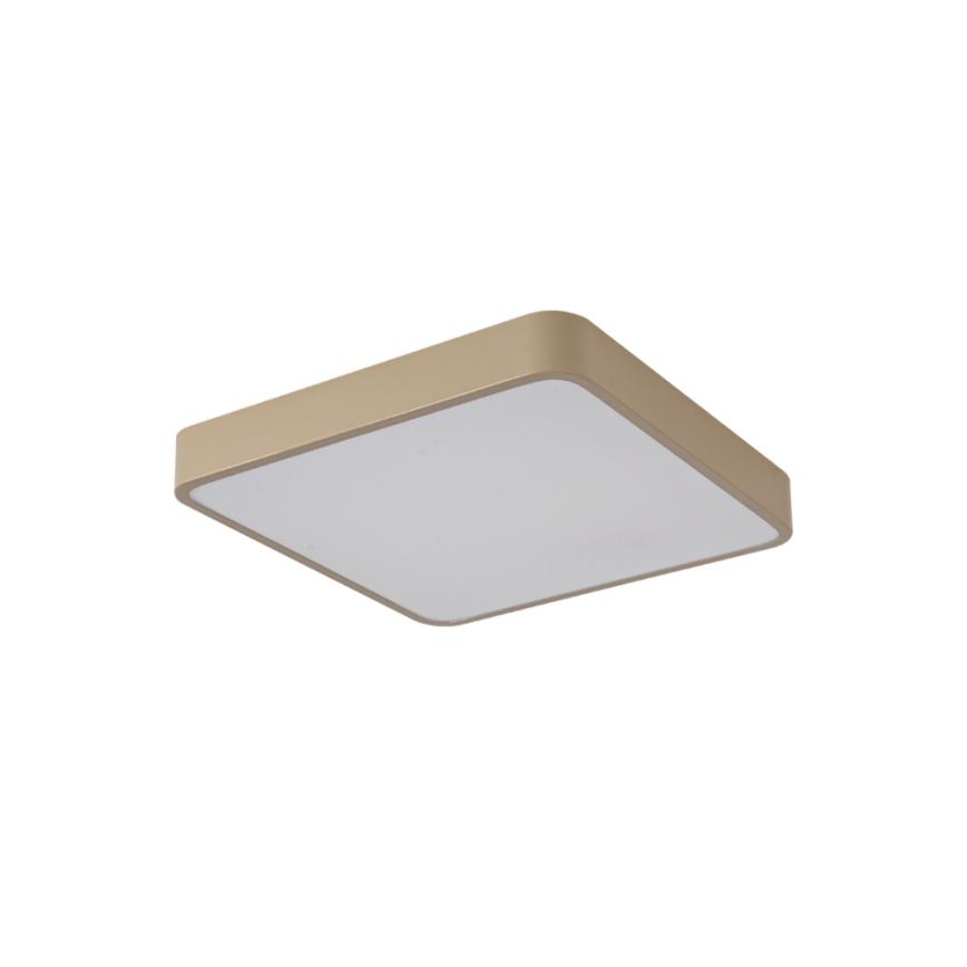 Brilagi - Φωτιστικό οροφής LED POOL LED/48W/230V 3000/4000/6000K 50x50 cm μπεζ