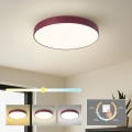 Brilagi - Φωτιστικό οροφής LED POOL LED/48W/230V 3000/4000/6000K Ø 40 εκ. μπορντό