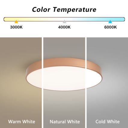 Brilagi - Φωτιστικό οροφής LED POOL LED/60W/230V 3000/4000/6000K Ø 60 cm μπρονζέ