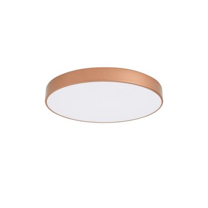Brilagi - Φωτιστικό οροφής LED POOL LED/60W/230V 3000/4000/6000K Ø 60 cm μπρονζέ