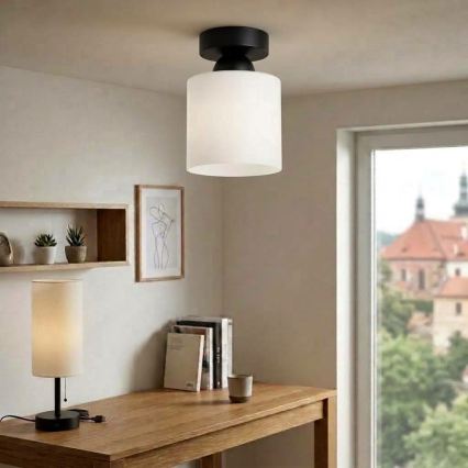 BRILAGI - Φωτιστικό οροφής LED RETRO GLASS 1xE27/60W/230V Ø 10 cm μαύρο/λευκό