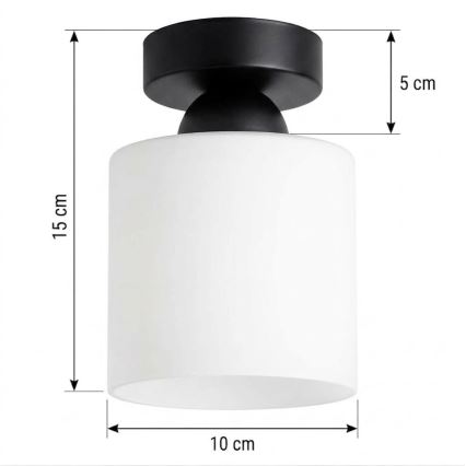 BRILAGI - Φωτιστικό οροφής LED RETRO GLASS 1xE27/60W/230V Ø 10 cm μαύρο/λευκό