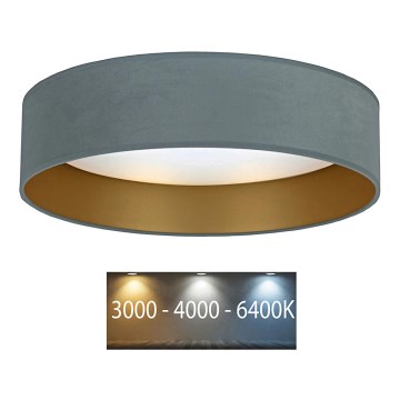 Brilagi - Φωτιστικό οροφής LED VELVET LED/12W/230V δ. 30 cm 3000K/4000K/6400K μέντα/χρυσό