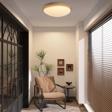 Brilagi - Φωτιστικό οροφής LED VISBY WOOD LED/18W/230V Ø 38 cm καφέ