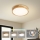 Brilagi - Φωτιστικό οροφής LED WOODLINE LED/24W/230V 3000/4000/6000K από δρυ, Ø 30 cm