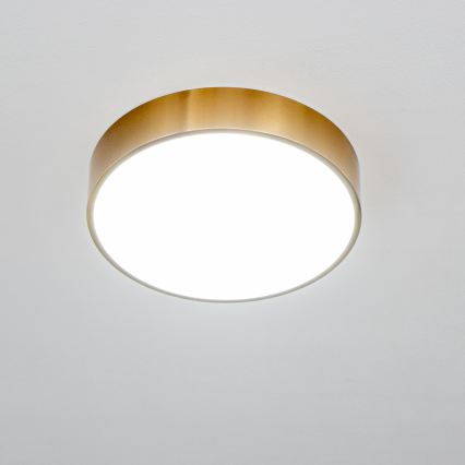 Brilagi - LED Φωτιστικό οροφής μπάνιου POOL LED/24W/230V 3000/4000/5500K pr. 30 cm IP54 μπρονζέ