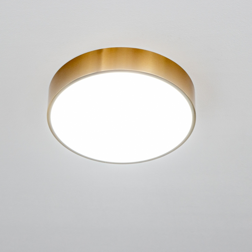 Brilagi - LED Φωτιστικό οροφής μπάνιου POOL LED/24W/230V 3000/4000/5500K pr. 30 cm IP54 μπρονζέ