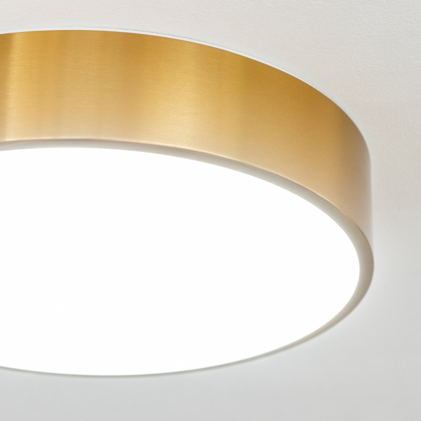 Brilagi - LED Φωτιστικό οροφής μπάνιου POOL LED/24W/230V 3000/4000/5500K pr. 30 cm IP54 μπρονζέ