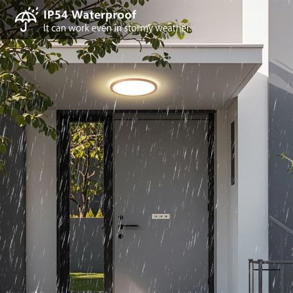 Brilagi - LED φωτιστικό οροφής μπάνιου ULTRA SLIM LED/18W/230V Ø 30 cm ροζ χρυσό IP54