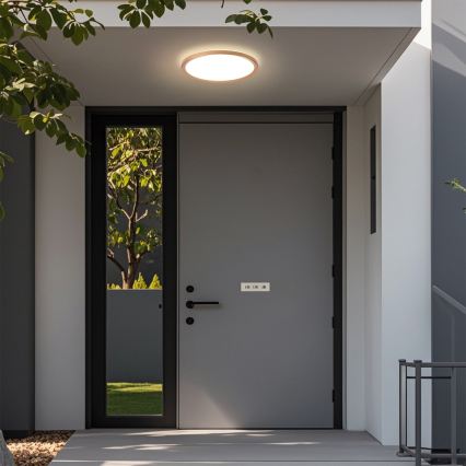 Brilagi - LED φωτιστικό οροφής μπάνιου ULTRA SLIM LED/18W/230V Ø 30 cm ροζ χρυσό IP54