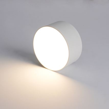 BRILAGI - Φωτιστικό οροφής LED εξωτερικού χώρου FORIS LED/14W/230V διάμ. 12 cm λευκό IP44