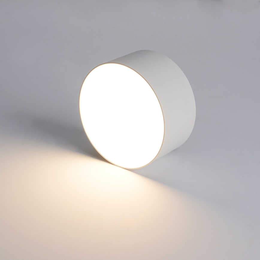 BRILAGI - Φωτιστικό οροφής LED εξωτερικού χώρου FORIS LED/14W/230V διάμ. 12 cm λευκό IP44