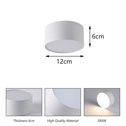 BRILAGI - Φωτιστικό οροφής LED εξωτερικού χώρου FORIS LED/14W/230V διάμ. 12 cm λευκό IP44