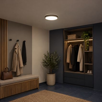 BRILAGI - Φωτιστικό οροφής NATURA LED/20W/230V 4000K Ø 33,7 cm