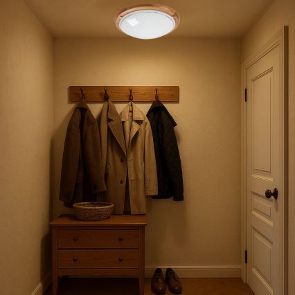 Brilagi - Φωτιστικό οροφής ORBIS 2xE27/60W/230V, διάμ. 38 cm, φινίρισμα πεύκου