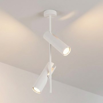 Brilagi - Φωτιστικό οροφής σε ράβδο BRANCH 2xGU10/30W/230V λευκό