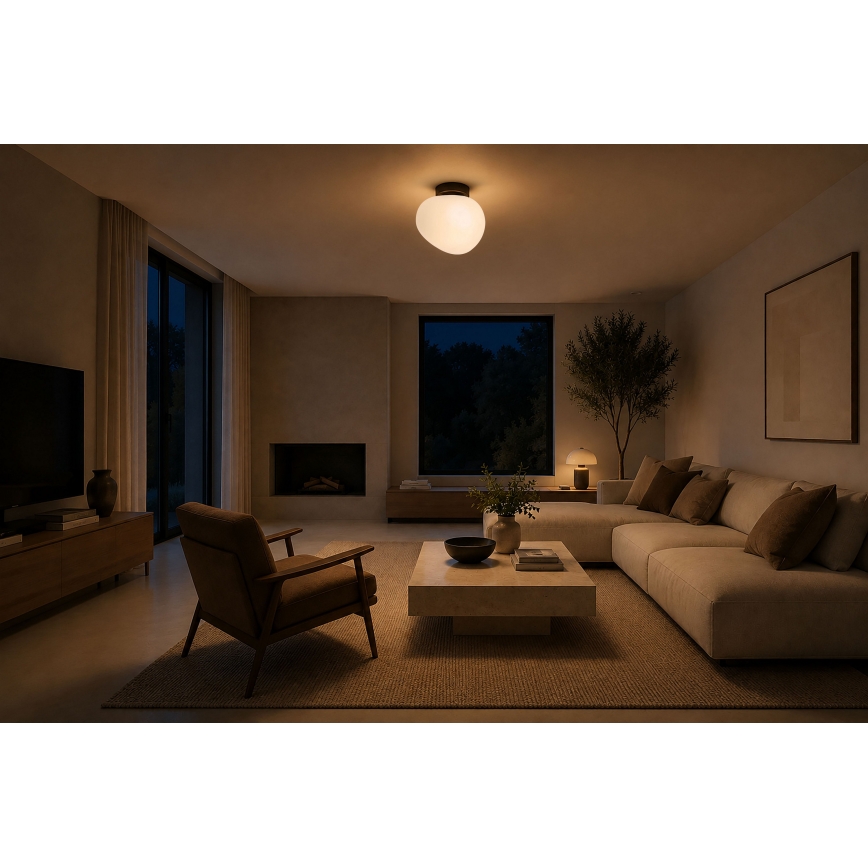 BRILAGI - Φωτιστικό οροφής PEBBLES 1xE27/40W/230V Ø 20 cm μαύρο