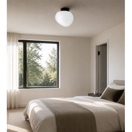BRILAGI - Φωτιστικό οροφής PEBBLES 1xE27/40W/230V Ø 20 cm μαύρο