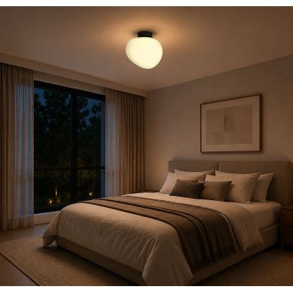 BRILAGI - Φωτιστικό οροφής PEBBLES 1xE27/40W/230V διάμ. 30 εκ. μαύρο