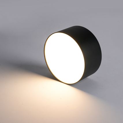 BRILAGI - LED Εξωτερικό φωτιστικό οροφής FORIS LED/20W/230V διάμ. 15 cm μαύρο IP44