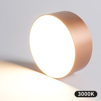 BRILAGI - Φωτιστικό οροφής εξωτερικού χώρου FORIS LED/20W/230V Ø 15 εκ. μπρονζέ IP44