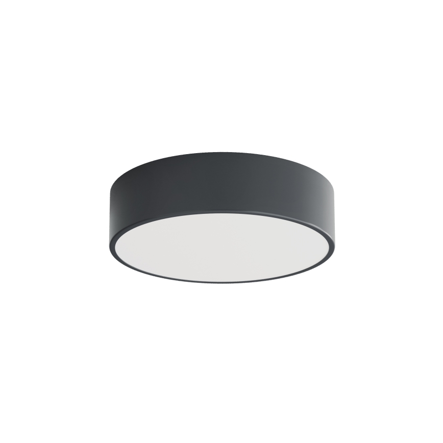 Brilagi - Φωτιστικό οροφής μπάνιου CLARE 2xE27/24W/230V Ø 30 εκ. ανθρακί IP54