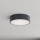 Brilagi - Φωτιστικό οροφής μπάνιου CLARE 2xE27/24W/230V Ø 30 εκ. ανθρακί IP54