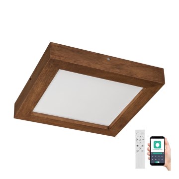 Brilagi - Φωτιστικό οροφής μπάνιου dimming LED WOODY FRAME LED/24W/230V δρυς κερασιά 30x30 cm 3000-6000K IP44 + τηλεχειριστήριο