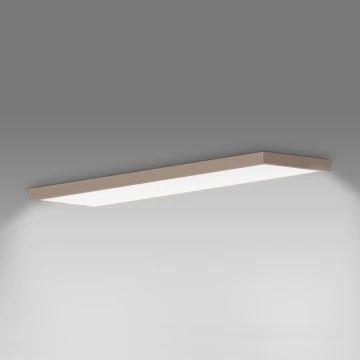 Brilagi - Φωτιστικό οροφής μπάνιου LED FRAME LED/50W/230V 120x30 cm IP44 μπεζ